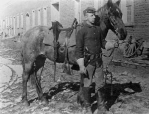 Cavalry Trooper in Mexico